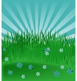 Meadow background vector image