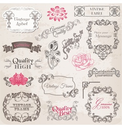 Set Calligraphic Design Elements vector image