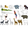 Set of african animals vector image