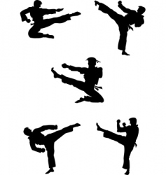 Karate fighters silhouettes vector image