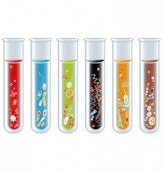 Test tubes vector image
