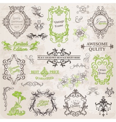 Set Calligraphic Design Elements vector image