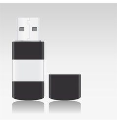 Usb flash drive vector image