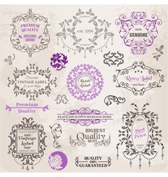 Set Calligraphic Design Elements vector image