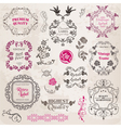 Set Calligraphic Design Elements vector image
