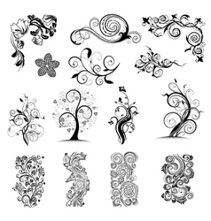 Floral design elements vector image