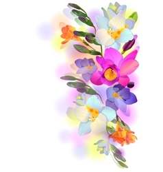 Background with gentle freesia flowers and vector image