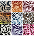 Animal skin textures vector image
