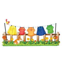 A garden with hanging clothes and a bunny vector image