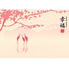 Cherry blossoms vector image