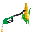Bio fuel vector image