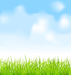 Green grass and blue sky vector image