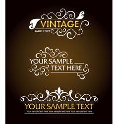 Vintage style signs vector image