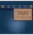 Jeans background vector image