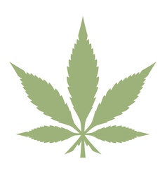 Marijuana leaf vector image