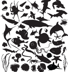 Silhouettes of marine life vector image