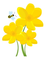 Cartoon Daffodil vector image