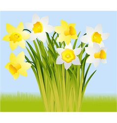 Spring flowers vector image