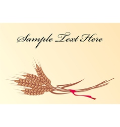 Wheat background vector image