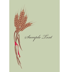 Wheat background vector image