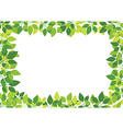 Green leaves vector image