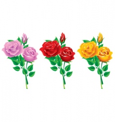 Set of bouquets of roses vector image