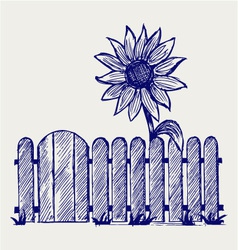Sunflower and fence vector image