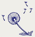 Blow Dandelion vector image