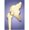 Bones vector image