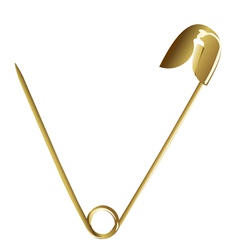 Gold pin 2 vector image