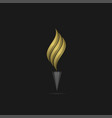 Golden flame logo template vector image
