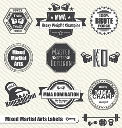 Mixed Martial Arts Labels and Icons vector image