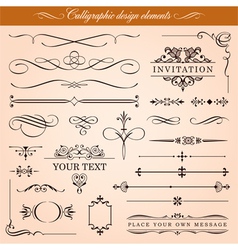 Calligraphic Design Elements vector image