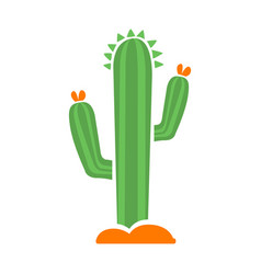 Cactus in the desert with flowers native indian vector image