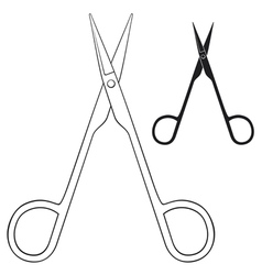 Small scissors vector image