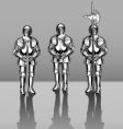 Knights in armor vector image