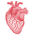 Human heart with geometric pattern Human heart with geometric pattern vector image