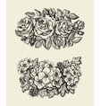 Flowers Hand drawn sketch flower roses geranium vector image