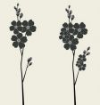 Forget-me-not flower vector image