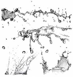 Water splashes vector image