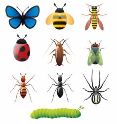 Simple insect designs Simple insect designs vector image
