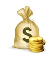 Moneybag and coins vector image