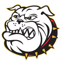 Angry bulldog mongrel vector image