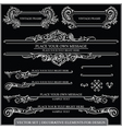 Calligraphic design elements vector image