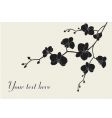 Stylized orchid branch vector image