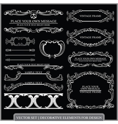 Calligraphic design elements vector image