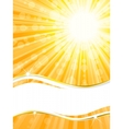 Sunshine banner vector image