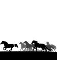 Horse herd vector image