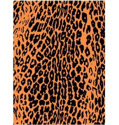 Leopard pattern background vector image