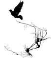Dove in Flight vector image